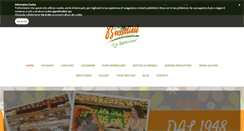 Desktop Screenshot of bussolinidistribuzione.com